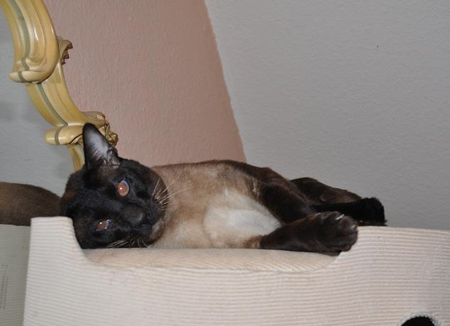 182414_4277339984751_1699070539_n