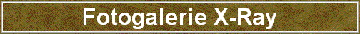 Fotogalerie X-Ray