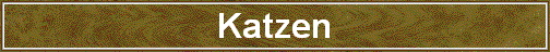 Katzen