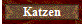 Katzen